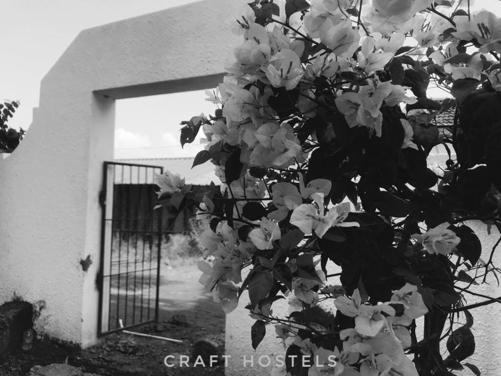 אנג'ונה Craft Hostels מראה חיצוני תמונה